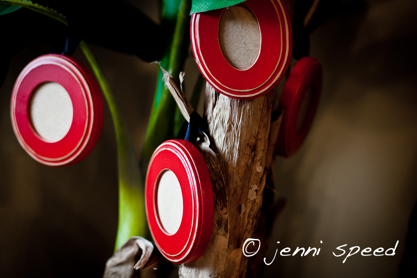 Ornament Frame Christmas Special! | Jenni Speed Photography