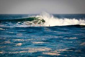 eddie aikau 2009